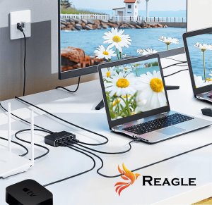 Reagle Reagle Adapter Rozdzielacz Switch Splitter LAN Ethernet RJ45 4xRJ45 1000M 1GB 2