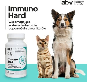 LAB V LAB-V Immuno Hard Wzmacnianie odporności dla psów i kotów 45 kapsułek 2