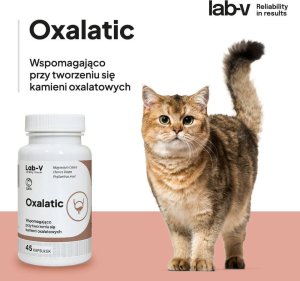LAB V LAB-V Oxalatic Wsparcie dla kotów przy tworzeniu się kamieni oksalatowych 45 kapsułek 2