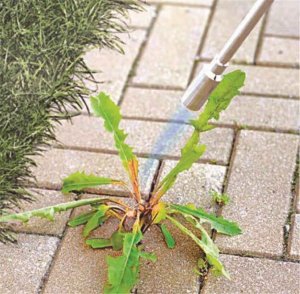 Home It Green>it® palnik do chwastów model kijowy z zapalnikiem automatycznym 2