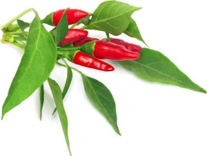 Click And Grow Click & Grow Smart Garden refill Piri Piri Chili Pepper 3pcs 1