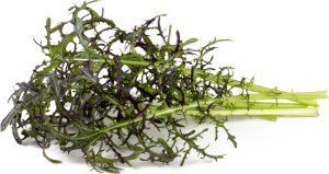 Click And Grow Click & Grow Smart Garden refill Red Frill Mustard 3pcs 1