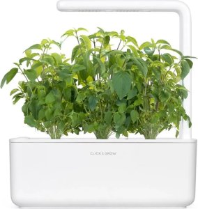 Click And Grow Click & Grow Smart Garden refill Thai Basil 3pcs 1
