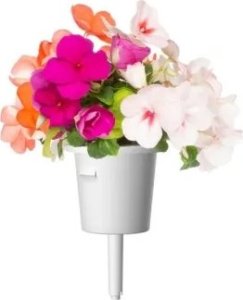 Click And Grow Click & Grow Smart Garden refill Busy Lizzie 3pcs 2