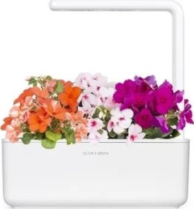 Click And Grow Click & Grow Smart Garden refill Busy Lizzie 3pcs 4