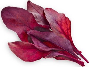 Click And Grow Click & Grow Smart Garden refill Red Leaf Beet 3pcs 1