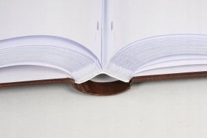 Poldom Album BB 10x15/500 Assort 5