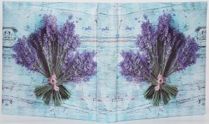 Poldom Album BB 10x15/500 Assort 10