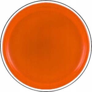 LeanToys Dysk Latający Frisbee z Dinozaurem Pomarańczowy 20 Cm 3