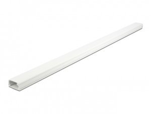 Organizer Delock Delock Kabelkanal mit Deckel 26 x 13 mm - Lange 1 m weiss 1