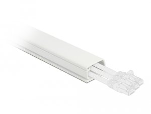 Organizer Delock Delock Kabelkanal mit Deckel 26 x 13 mm - Lange 1 m weiss 2