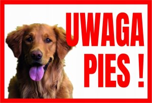 Dingo Uwaga Pies Retriever - Tabliczka Ostrzegawcza Libres Polska Sp Tup-6 5902082237464 1