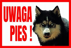 Dingo Uwaga Pies ! Husky - Tabliczka Ostrzegawcza Libres Polska Sp Tup-5 5902082237457 1