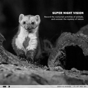 Pritt Pritt Klebestift, 22g, WA12 , 9H PK611 3