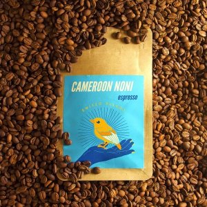 Kawa mielona Bearded Coffee Cameroon Noni Washed waga 250g mielenie frenchpress/Aeropress 1