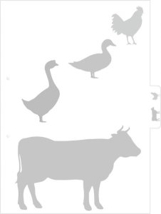 Herma Folder Star of the Kitchen DIN A4 19662 9