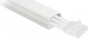Organizer Delock Delock Kabelkanal mit Deckel selbstklebend 22 x 15 mm - Lange 1 m weiss 2