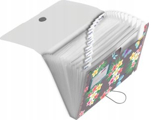 Piórnik Herlitz Herlitz Fächermappe PP 12F Ladylike Butrfl. 2