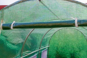 Funfit Szklarnia Ogrodowa Poliwęglanowa 250 cm x 190 cm x 195 cm - 4,75 m2 15