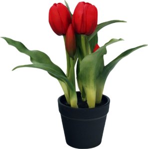Saska Garden TULIPANY W DONICZCE 5 SZT CZERWONE 23CM JAK ŻYWE DEKORACJA WIOSENNA 2