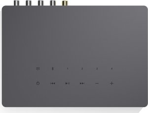 Audio Pro Link 2 Multiroom WiFi odtwarzacz 5