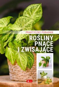 Dragon Rośliny pnące i zwisające. Poradnik praktyczny 1