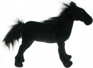 Dubi Czarna pantera 90cm 6