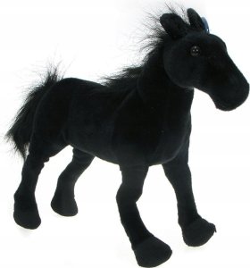 Dubi Czarna pantera 90cm 7