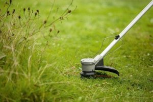 Bosch Bosch cordless lawn trimmer AdvancedGrassCut 36V-33 solo (green/black, without battery and charger) 5