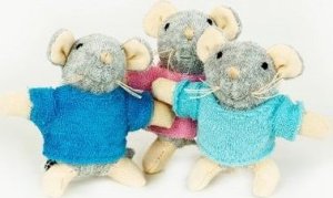 Media Rodzina Maskotka z Mysiego Domku. Trojaczki 3