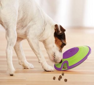 NINA OTTOSON NINA OTTOSON DOG SPIN N`EAT GREEN         Level:2 3