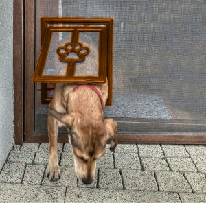 Artgos ARTGOS - Furtka dla zwierząt do moskitiery - brązowa 4