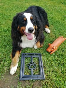 Artgos ARTGOS - Furtka dla zwierząt do moskitiery - brązowa 6