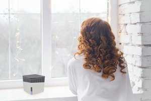 Wenko Wkład osuszający 14