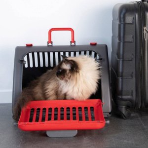 Homea Klatka transportowa dla kota i psa, składana, plastik, 46 x 35 x 33 cm, antracytowo-czerwona 2