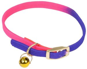 Zolux Obroża dla kota z dzwoneczkiem, neonowa, 30 cm, fioletowo-różowa 1
