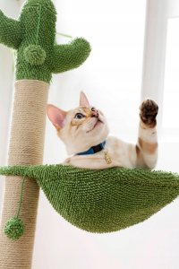 Homea Drapak dla kota w kształcie kaktusa, z hamakiem 3