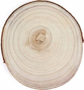 Home Styling Collection Drewniane podkładki pod talerze NATURAL, zestaw 4 sztuk 7