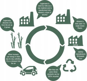 Dantoy Dantoy - Tiny Bucket Set (6025) /Outdoor Toys 5