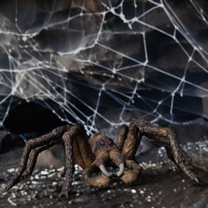 Figurka Schleich Schleich Wizarding World Aragog, toy figure 4