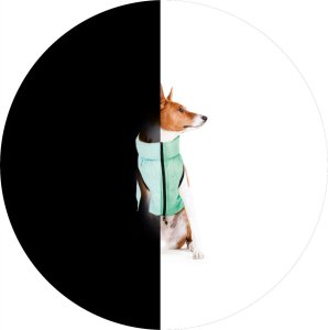 DOGGY S 35 KURTKA LUMI ODBLASKOWA JASNOZIELONA + NIEBIESKA 2