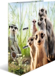 Segregator Herma HERMA  Ordner A4 Karton Erdmännchen 2