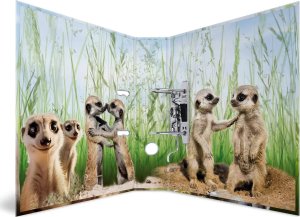 Segregator Herma HERMA  Ordner A4 Karton Erdmännchen 4