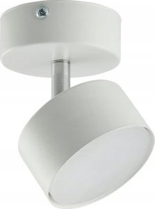 Lampa sufitowa TK Lighting CEILING LUMINAIRE CLARK WHITE 1 3394 1