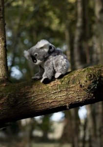 Dante Koala z dzieckiem 2