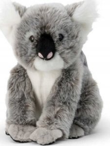 Dante Koala z dzieckiem 3