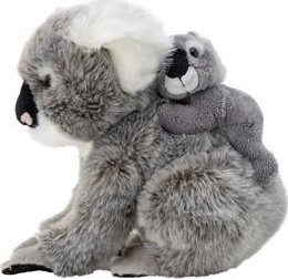 Dante Koala z dzieckiem 4