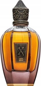 Xerjoff XERJOFF K Collection Aqua Regia PARFUM spray 100ml 2