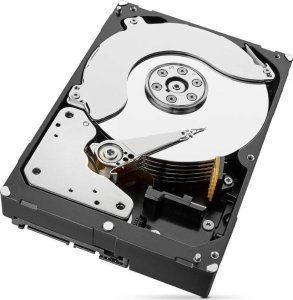 Dysk Seagate Dysk HDD Seagate IronWolf PRO 10TB (ST10000NE000) 1