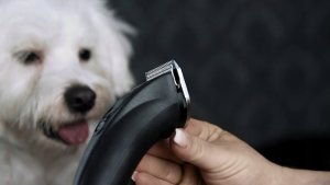 Maszynka do włosów Moser MOSER 1876-0063 Arco Pro Hair clipper 3